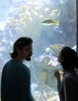 Sumner, Liana, and the Fishes